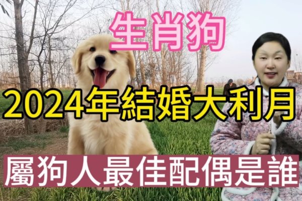 属狗婚姻与命运解析-新乐天