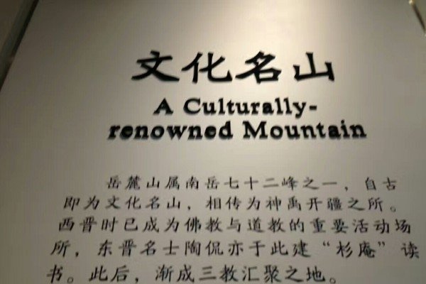 70后，岁月印记在网名中的回响-新乐天