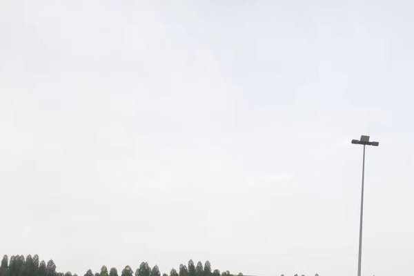 玫瑰花园，探索虚拟花园的奇妙之旅-新乐天