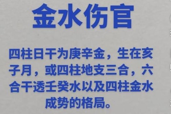 揭秘金水伤官格，命理中的智慧与挑战-新乐天