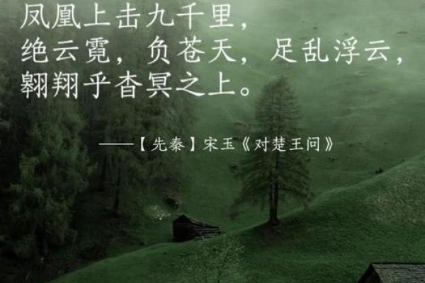 凤舞九天，一其随之—探寻凤一其随的深层含义-新乐天