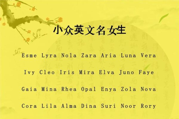 探寻家族英文名字的多元魅力，家族英文名字的魅力探寻-新乐天