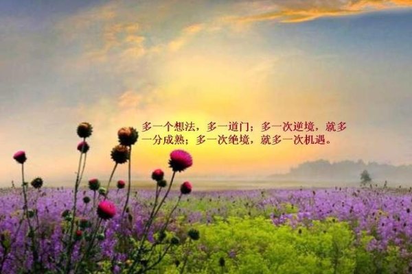 寻觅静谧，打造一个安静角落的网名-新乐天