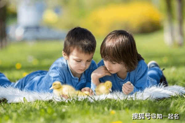 男孩可爱名字，传递纯真与专属气质-新乐天