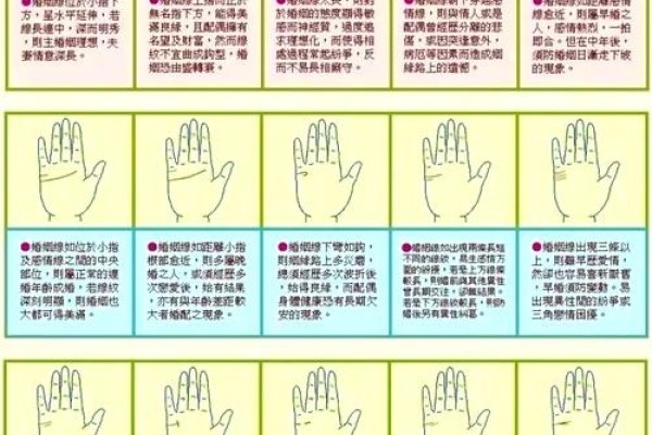 揭秘看手相算命，图解你的未来命运-新乐天