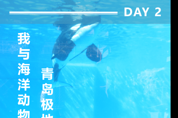 探索两性情感网的奥秘，理解、沟通与共融-新乐天