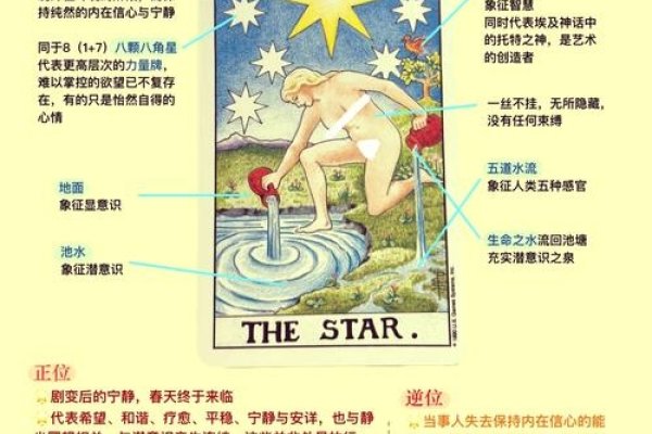 揭秘美国神婆星座网,星座运势的迷思与真实-新乐天