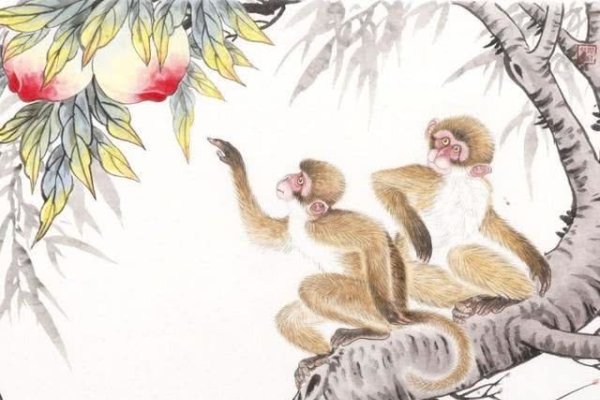 琳琅满目下的生肖奥秘-新乐天