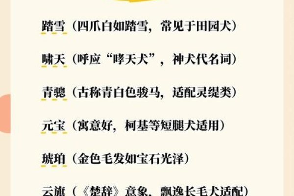 萌宠命名艺术，打造独一无二的好听宠物名字-新乐天