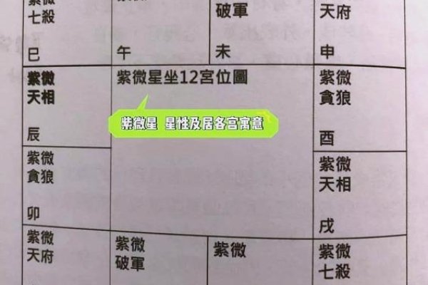 紫薇命盘主星解读法-新乐天