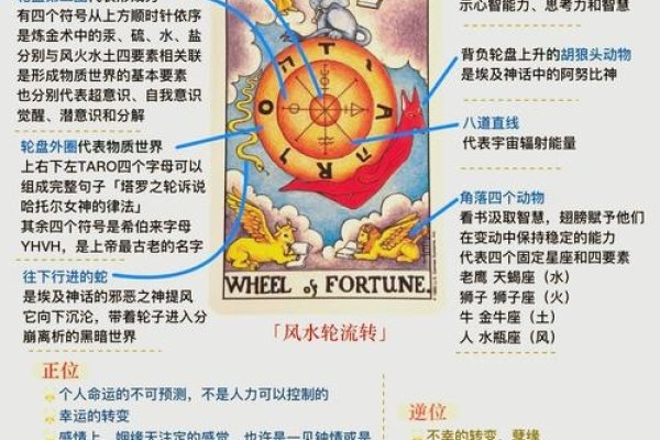 探索命运之路，Destiny命理网解析-新乐天