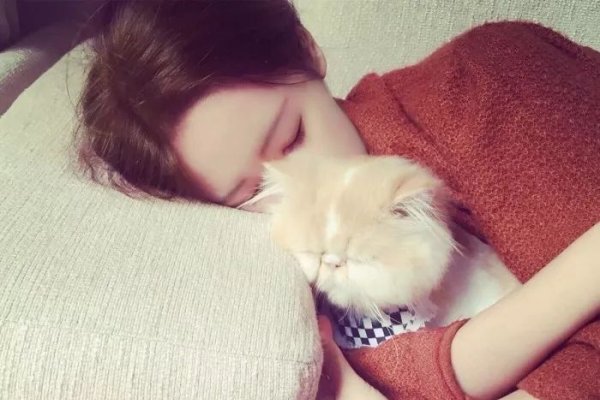 微信名字大全女生，个性与风格的完美融合-新乐天