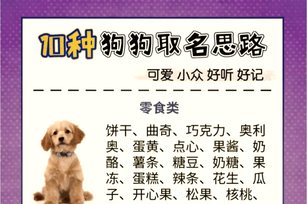 狗狗名字大全，为你的宠物寻找完美的名字-新乐天