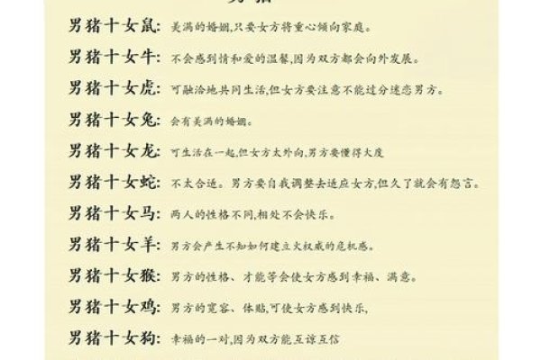 属猪女的最佳婚配属相-新乐天