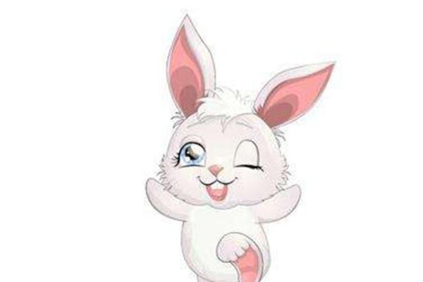 属兔女的最佳配偶属相-新乐天