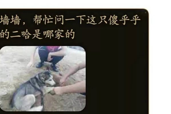 探索那些令人心动的名字-新乐天