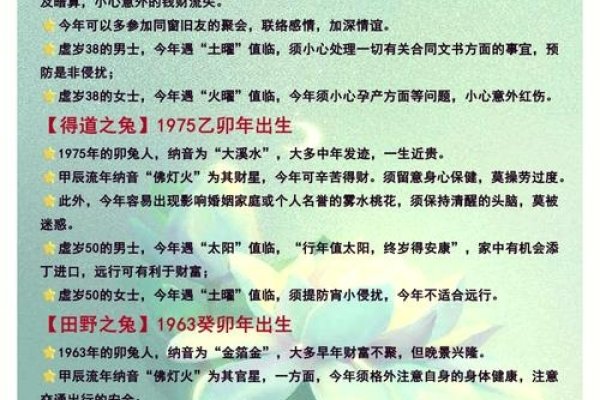 87年属兔人在2024年的运势展望-新乐天