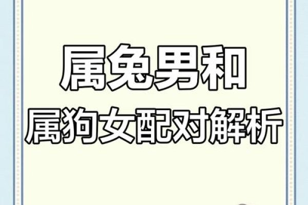 男狗女兔情定和谐,携手共赴美好生活-新乐天