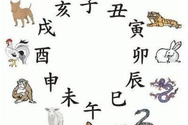 96年属什么，探索生肖文化的奥秘-新乐天