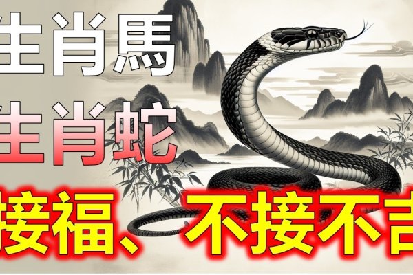 82年，属龙/蛇的玄机密码-新乐天