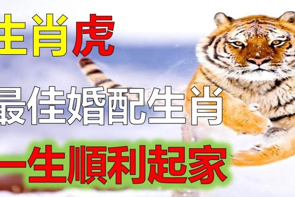 属猪女最佳婚配，虎、兔，旺夫运强，生活和谐-新乐天