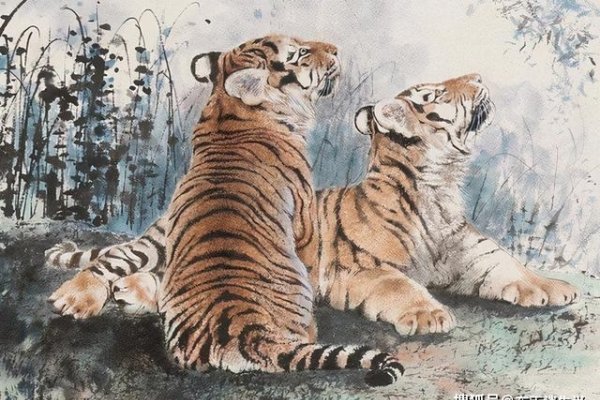 锦绣前程的生肖之星-新乐天