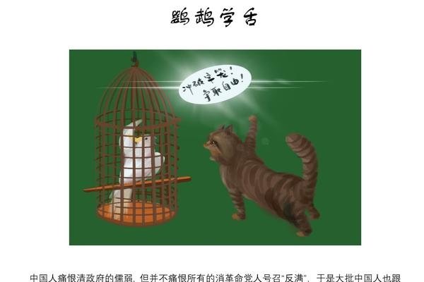 揭秘七嘴八舌背后的神秘动物—鹦鹉学舌之谜-新乐天