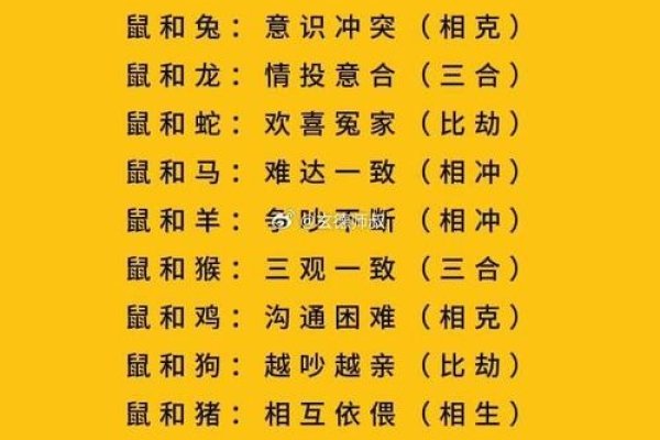 属鼠人的婚姻与命运-新乐天