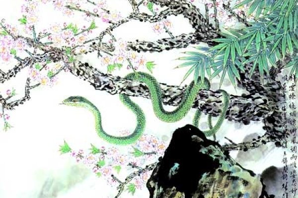 属蛇人2013年运势展望-新乐天