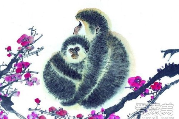 属猴人2020年运势及运程详解-新乐天