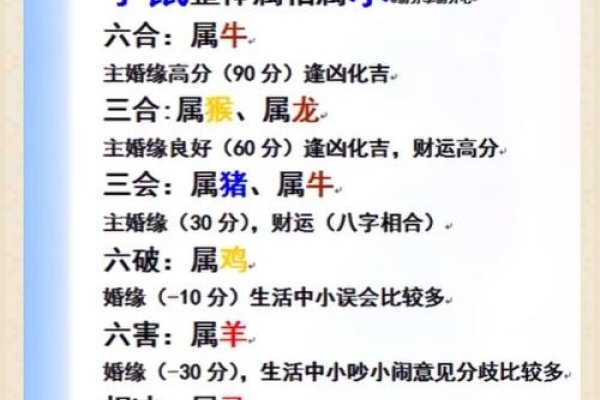 属鼠人一生最克三人关系解析-新乐天