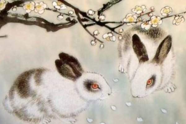 属兔人在2020年的运势及运程-新乐天