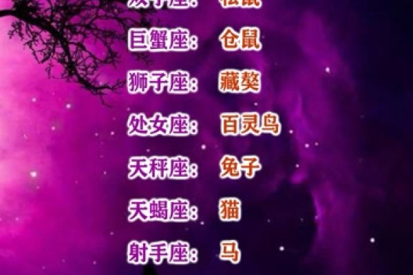 探索十二星座专属宠物，星座与宠物的神秘联系-新乐天