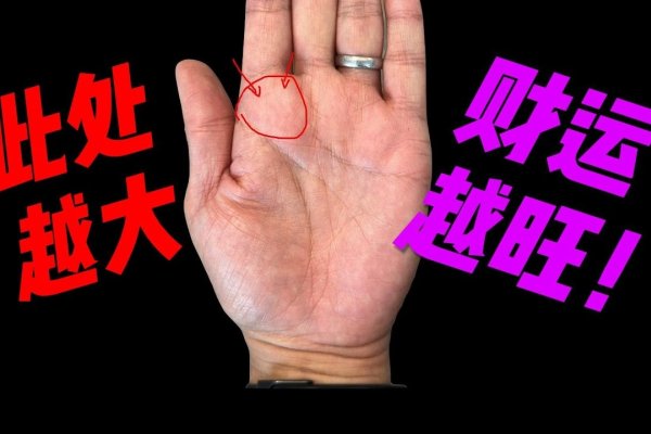 揭秘手相奥秘，男人手相看哪只手？-新乐天