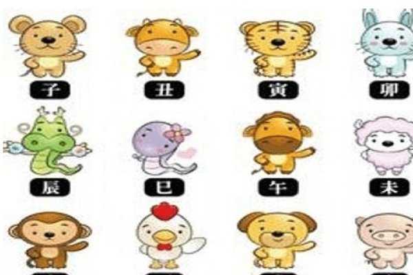 揭秘生肖之谜，年少有为的生肖是什么？-新乐天