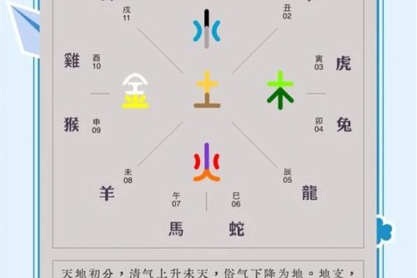 卯是什么生肖？揭秘十二地支与生肖的奥秘-新乐天