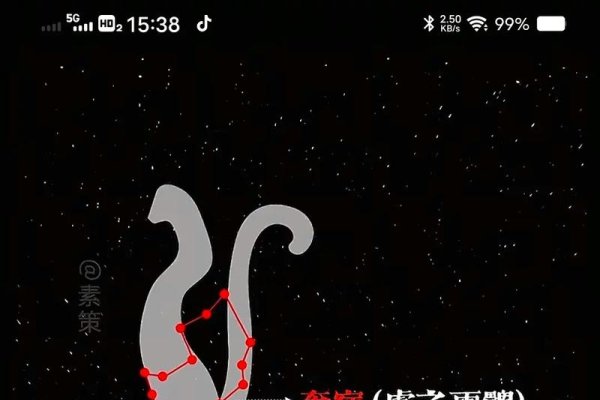 探秘神秘的白虎,文化与象征的双重解读-新乐天