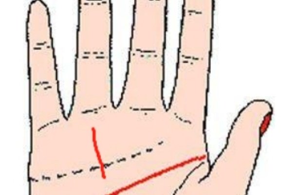 探寻手相密码，看手相视频，开启人生新维度-新乐天