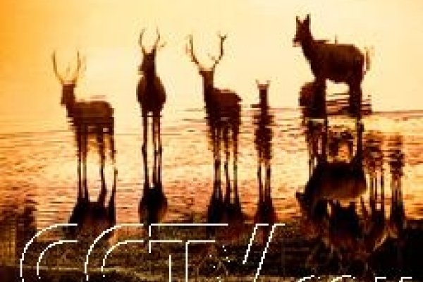 揭秘十月末的神秘日子—探寻10月29日的特殊意义-新乐天