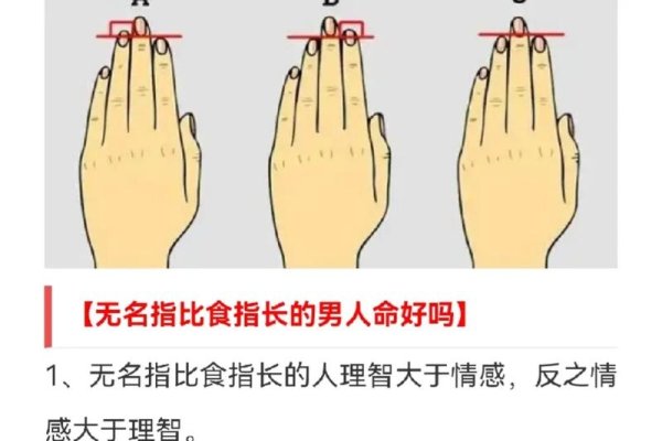 探索食指比无名指长的奥秘，遗传、文化与心理的交织-新乐天