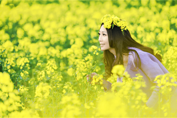 崭露头角生肖揭秘-新乐天