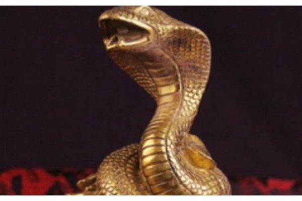 颐享天年的生肖—蛇-新乐天