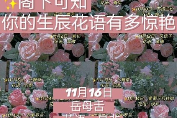 揭秘特殊日子—11月14日的含义-新乐天