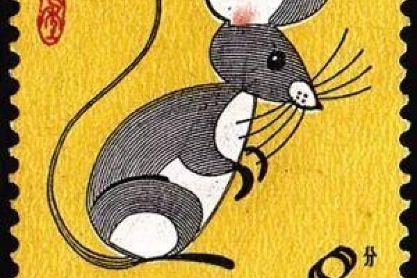 乳臭未干的生肖—探寻生肖与成长之间的奥秘-新乐天