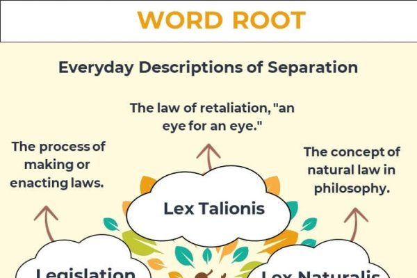 Lex的意思及其在不同领域的应用-新乐天