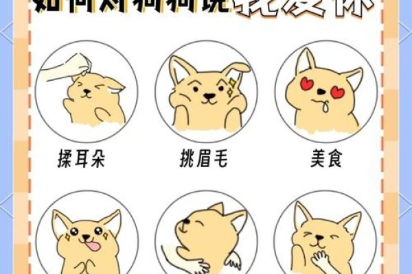 小狗狗的温馨命名,爱的印记-新乐天