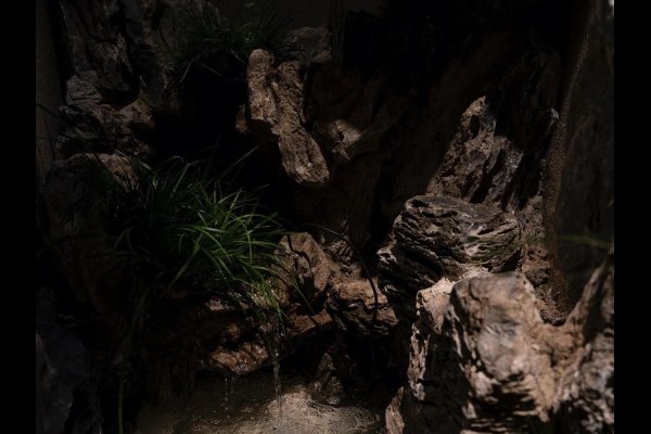 鱼缸摆放位置的选择,是否可以将鱼缸对着入户门摆放?-新乐天