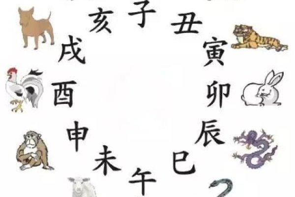 摆袖却金猜一生肖—解密生肖之谜-新乐天