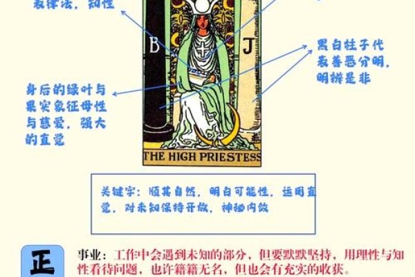 塔罗牌女教皇,解读女性力量的密钥-新乐天