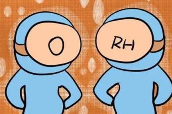 O型血女生的独特魅力与健康指南-新乐天